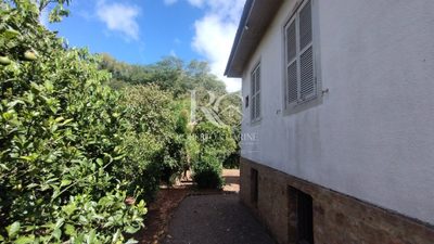 Sítio, 4 quartos, 2700 m² - Foto 5