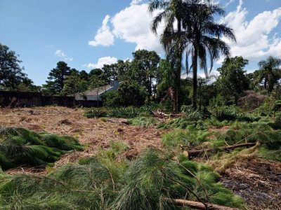 Terreno, 750 m² - Foto 1