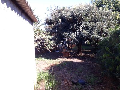 Terreno, 3804 m² - Foto 3