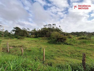 Terreno, 9000 m² - Foto 5