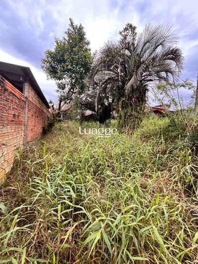 Terreno, 151 m² - Foto 4