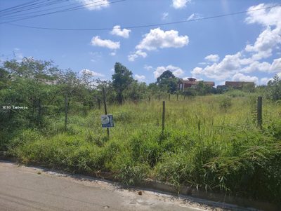 Terreno, 716 m² - Foto 3