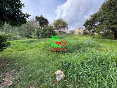 Terreno, 393 m² - Foto 1
