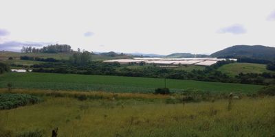 Fazenda, 68 hectares - Foto 5