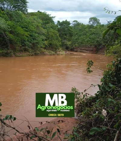 Fazenda, 400 hectares - Foto 3