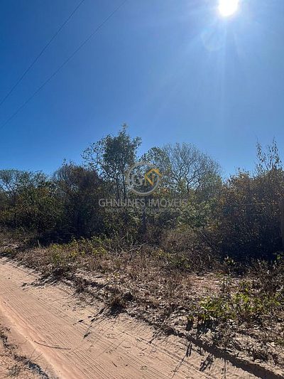 Fazenda, 1168 hectares - Foto 4