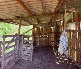 Chácara, 2 quartos, 1600 m² - Foto 1
