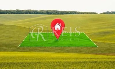 Terreno, 10000 m² - Foto 1