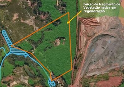 Terreno, 5 hectares - Foto 2