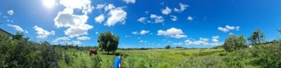 Fazenda - Foto 3