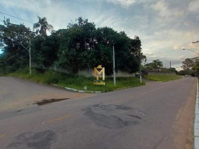 Terreno, 3381 m² - Foto 1