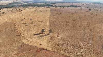 Fazenda, 288 hectares - Foto 4