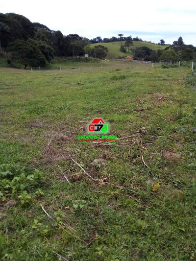 Terreno, 2500 m² - Foto 4
