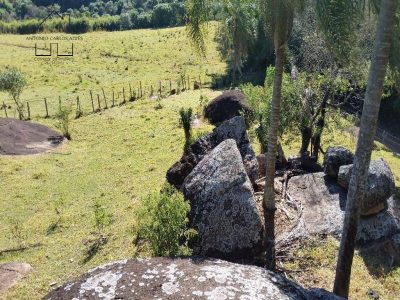 Fazenda, 94 hectares - Foto 3