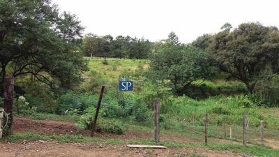 Terreno, 1 hectares - Foto 5