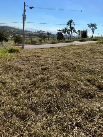 Terreno, 250 m² - Foto 3