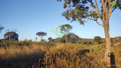 Fazenda, 2 quartos - Foto 4