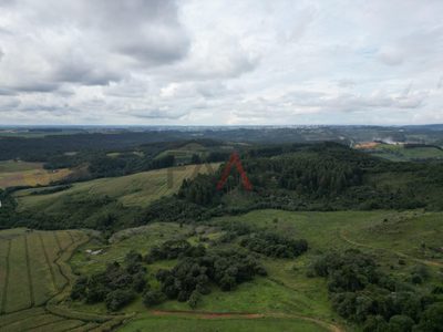 Sítio, 2 quartos, 1210000 m² - Foto 1