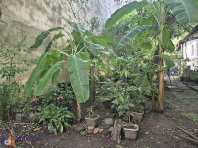 Terreno, 303 m² - Foto 4