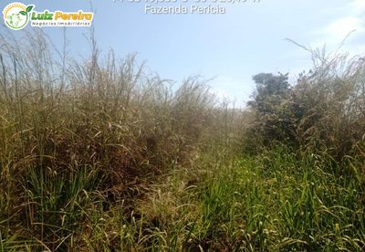Terreno - Foto 5