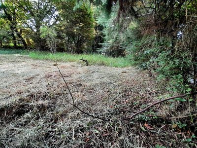 Terreno, 700 m² - Foto 4