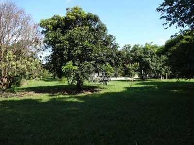 Chácara, 5 quartos, 6365 m² - Foto 2