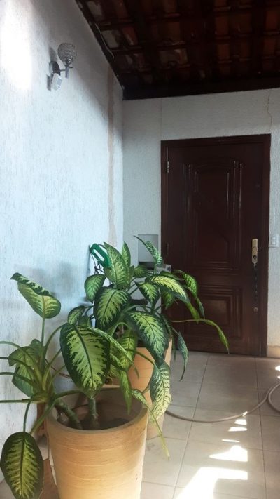 Casa, 4 quartos, 340 m² - Foto 3
