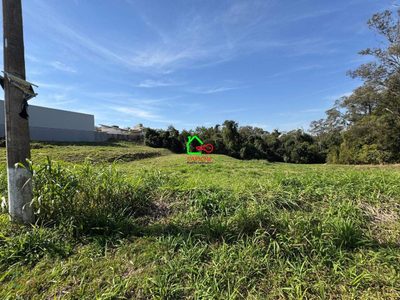 Terreno, 10000 m² - Foto 2