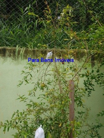 Chácara, 4 quartos - Foto 3
