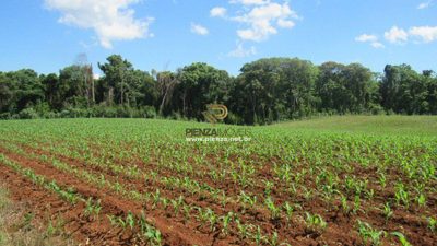 Loteamento e Condomínio, 11 hectares - Foto 2