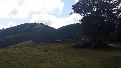 Fazenda, 505 hectares - Foto 5