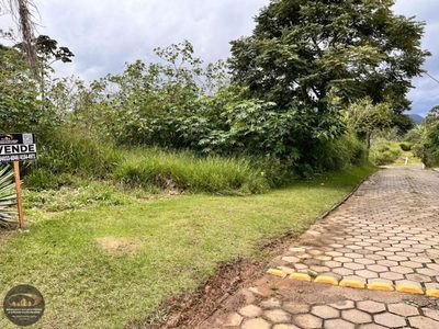 Terreno, 556 m² - Foto 3