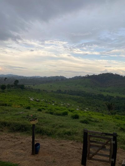 Fazenda, 10 quartos - Foto 5
