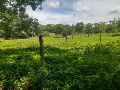 Chácara, 2 quartos - Foto 5
