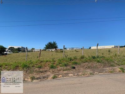 Terreno, 5204 m² - Foto 5