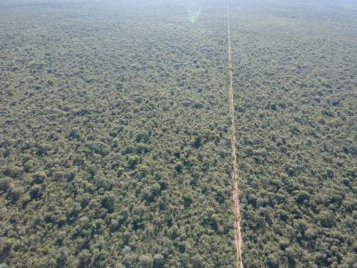 Fazenda, 906 hectares - Foto 4