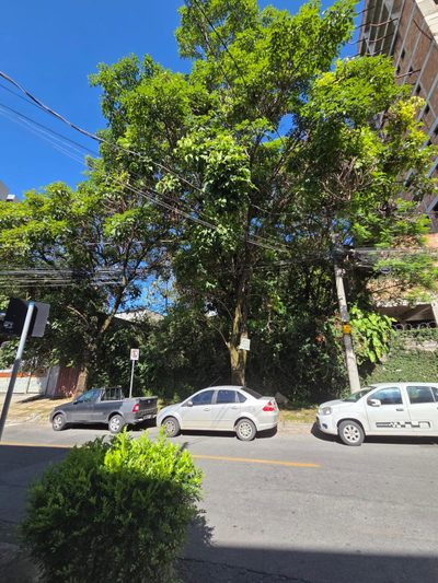 Terreno, 1000 m² - Foto 4