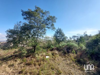 Terreno, 2729 m² - Foto 5
