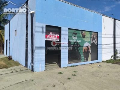 Casa - Foto 5