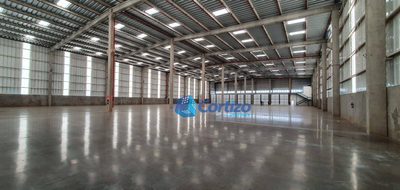 Depósito-Galpão, 4500 m² - Foto 2