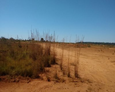 Loteamento e Condomínio, 1 hectares - Foto 3