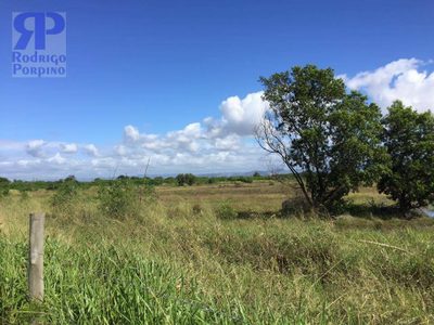Terreno, 5000 m² - Foto 3