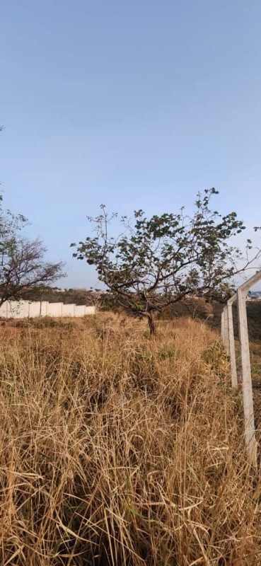 Terreno, 5000 m² - Foto 2
