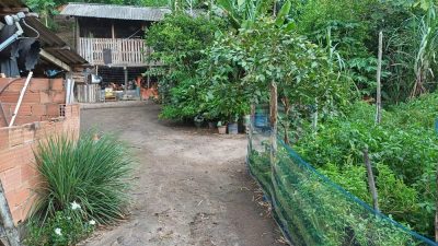 Sítio, 2 quartos, 5000 m² - Foto 1