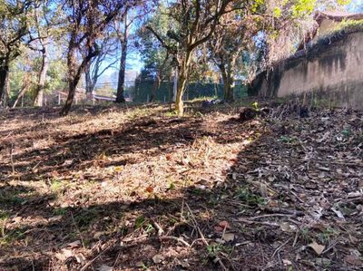 Terreno - Foto 5