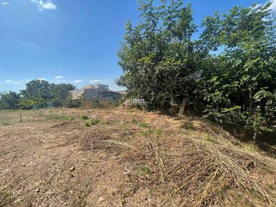 Fazenda, 1800 m² - Foto 3