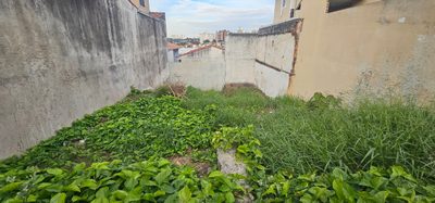 Terreno, 200 m² - Foto 4