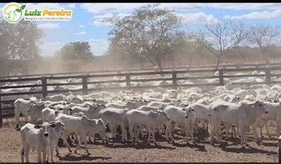 Terreno, 6100 m² - Foto 1