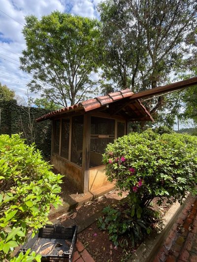 Chácara, 4 quartos, 1400 m² - Foto 2