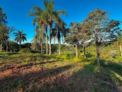Chácara, 5 hectares - Foto 2